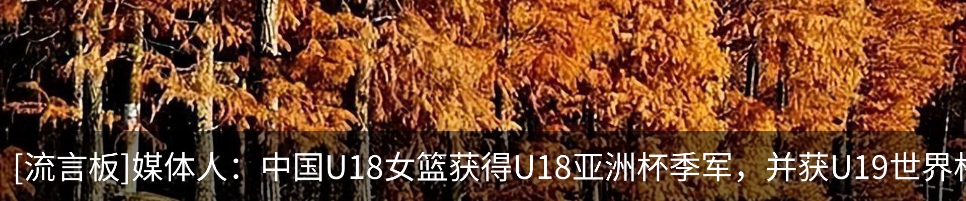 内页banner